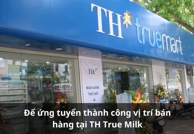 Ứng tuyển vào TH True Milk nên làm gì?