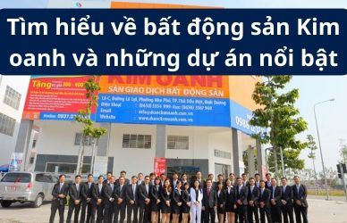 Tìm hiểu về bất động sản Kim oanh và những dự án nổi bật